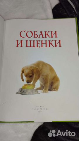 Книга собаки и щенки