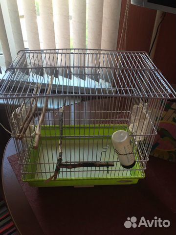 Клетка для попугая