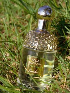 Парфюм guerlain Aqua Allegoria Herba Fresca