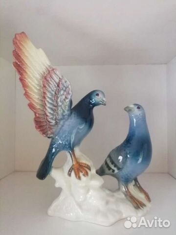 Почтовые голуби Германия