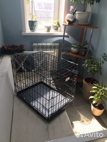 Клетка и переноски для кошек и собак аренда