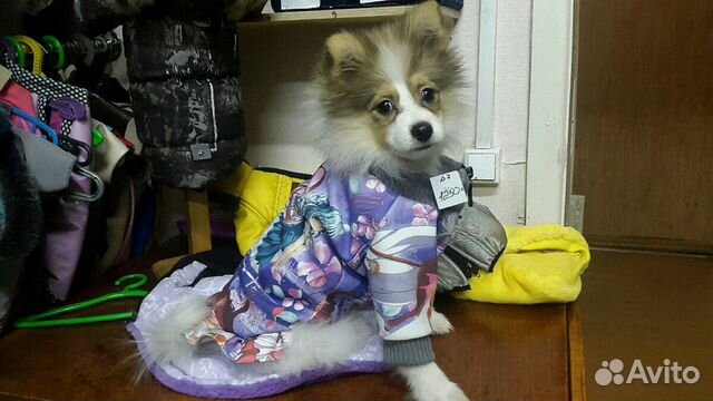 Одежда для собак кошек 