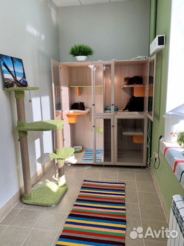 Зоогостиница, услуги грумера