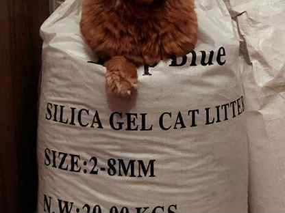 Силикагель наполнитель для кошек 20 кг, 25 кг