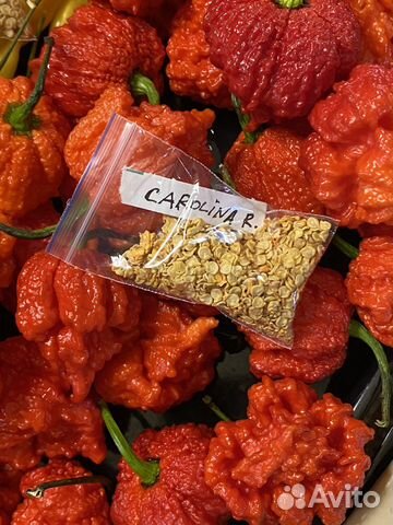 Семена Carolina Reaper, Trinidad Scorpion и др