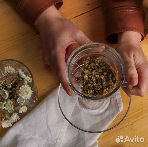 Лекарственные травы