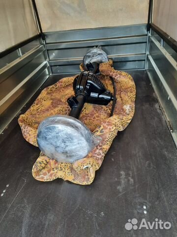 Задний мост на газ-31105 Волга нового образца