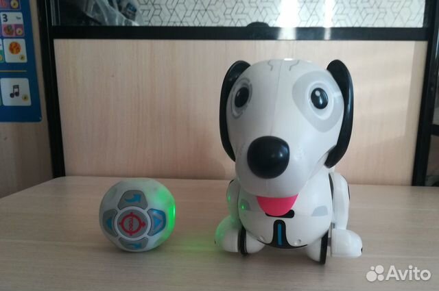 Собака робот Дэкел