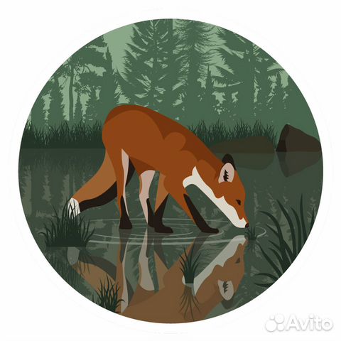 Иллюстратор - графический дизайнер