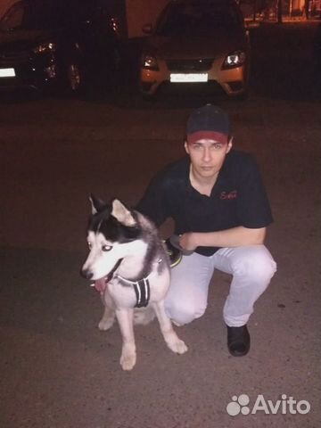 Передержка, выгул собак, ситтинг, зооняня