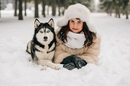 Хаски, Самоед фото, катания, Догшоу