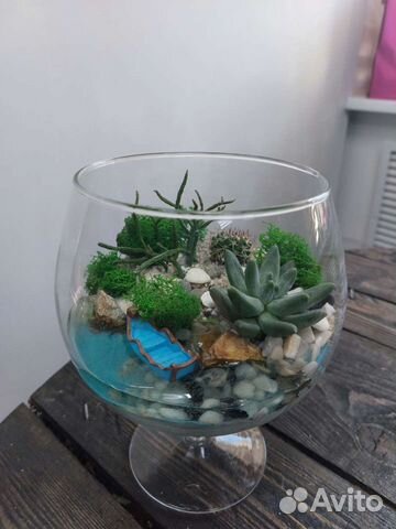 Флорариум суккуленты, кактусы. Подарок