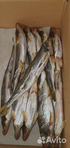 Корюшка икряная