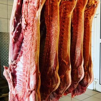 Свежее Мясо свинины полутушами и четверти Доставка