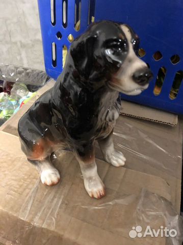 Собакафорфор