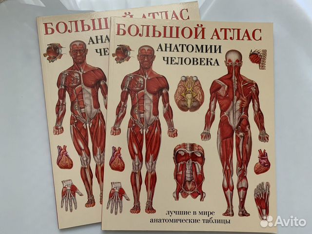 Электронный атлас анатомии. Большой атлас анатомии человека. Махиянова атлас анатомии человека. Большой атлас анатомии человека лучшие в мире. Итальянский анатомический атлас.