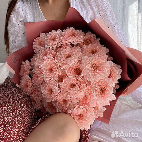 Букет из 7 Хризантем. Цветы с Доставкой