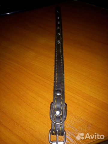 Ошейник для маленьких собак