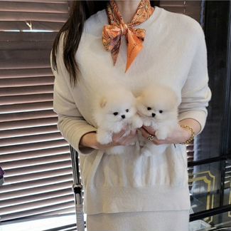 Супер мишки с доставкой на дом