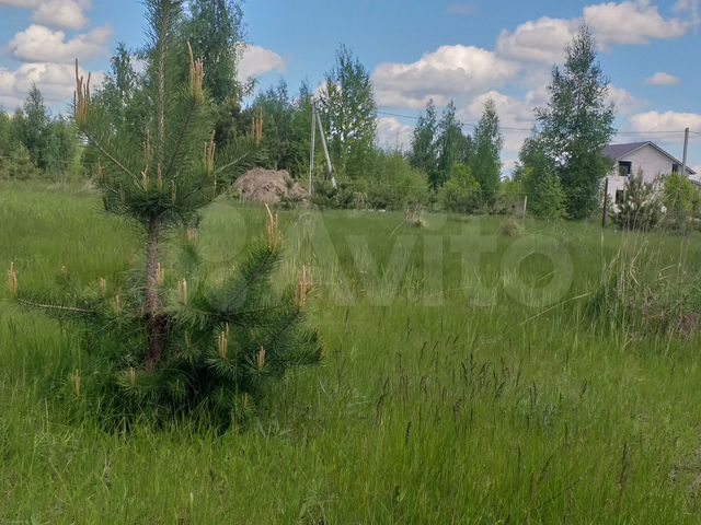 Участок 12 сот. (ИЖС)