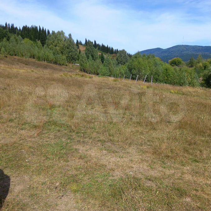 Участки таштагол. Продам землю в Таштаголе Дальняя Каменушка 1/1