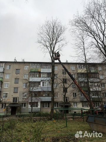 Спил/кронирование/вывоз деревьев