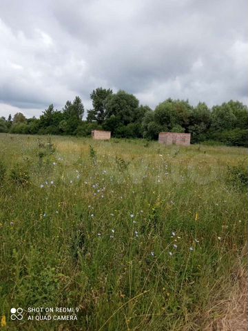 Участок 50 сот. (ИЖС)