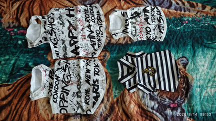 Майки для собак