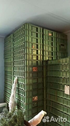 Пластиковая тара ящики