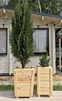 Вазон (кашпо)