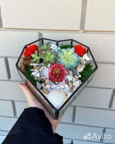Подарок. Цветы. Флорариум. Сердце. Живые растения