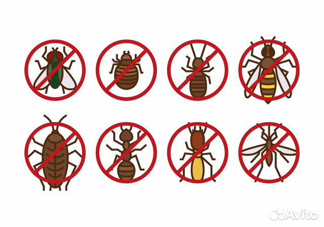 Дезинсекция, дератизация, дезинфекция