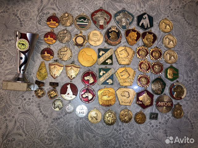 Собачьи медали и жетоны, значки, кубок