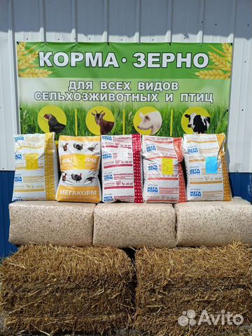 Корма-зерно для животных и птиц