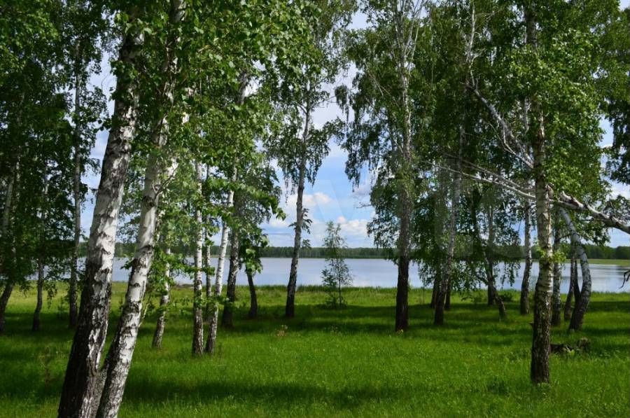 Озеро Сузун Новосибирская область
