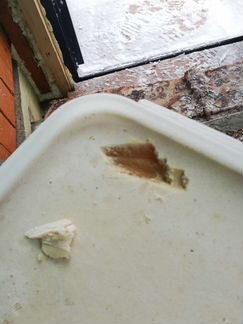 Алтайский мёд