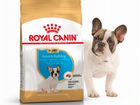 Royal Canin French Bulldog Puppy 12 кг