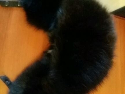 Шапка песец