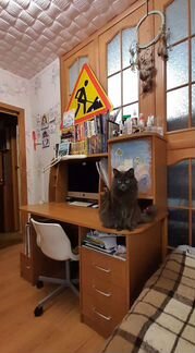 Письменный стол