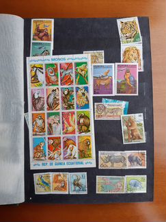 Марки. Филателия. Филателист