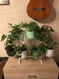 Стойка на 7 цветов № 6 (высота 43 см)