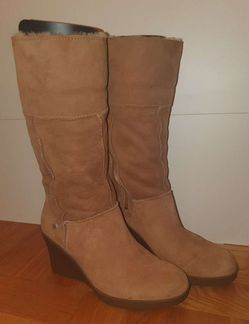 Сапоги UGG