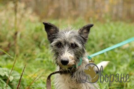 Нора в самые добрые руки