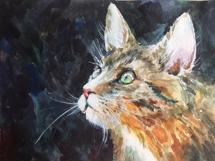 Кошка. Акварель. А4