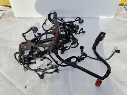Проводка подкапотная Honda Civic 4D 1.8 АКПП