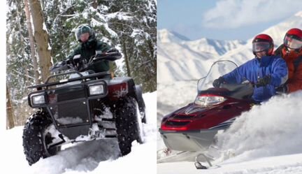 Шип для снегохода 1610