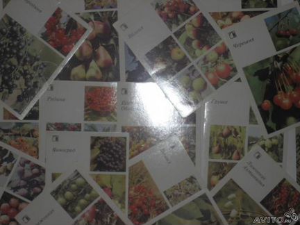 Набор открыток