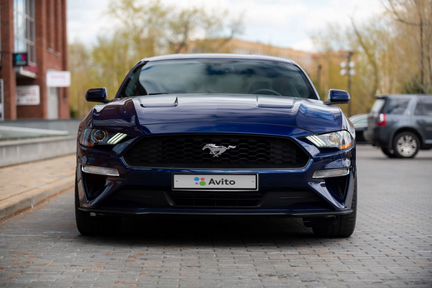 Ford Mustang 2.3 МТ, 2019, 35 000 км