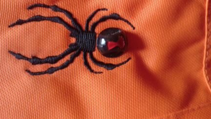 Горнолыжный костюм