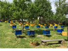 60 ульев мёд пчелы пасека
